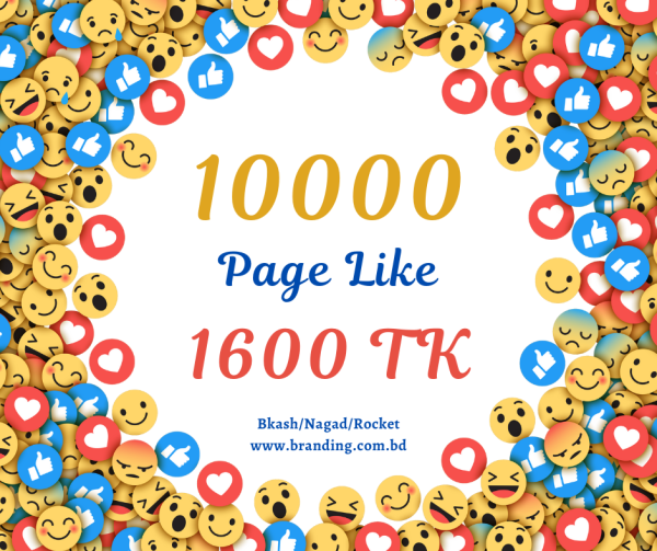 10K Real Facebook Page Like