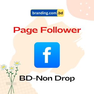 Facebook Non Drop BD Page Follower Service by Branding.com.bd