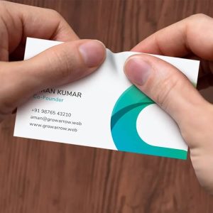 Plastic Visiting Card Print